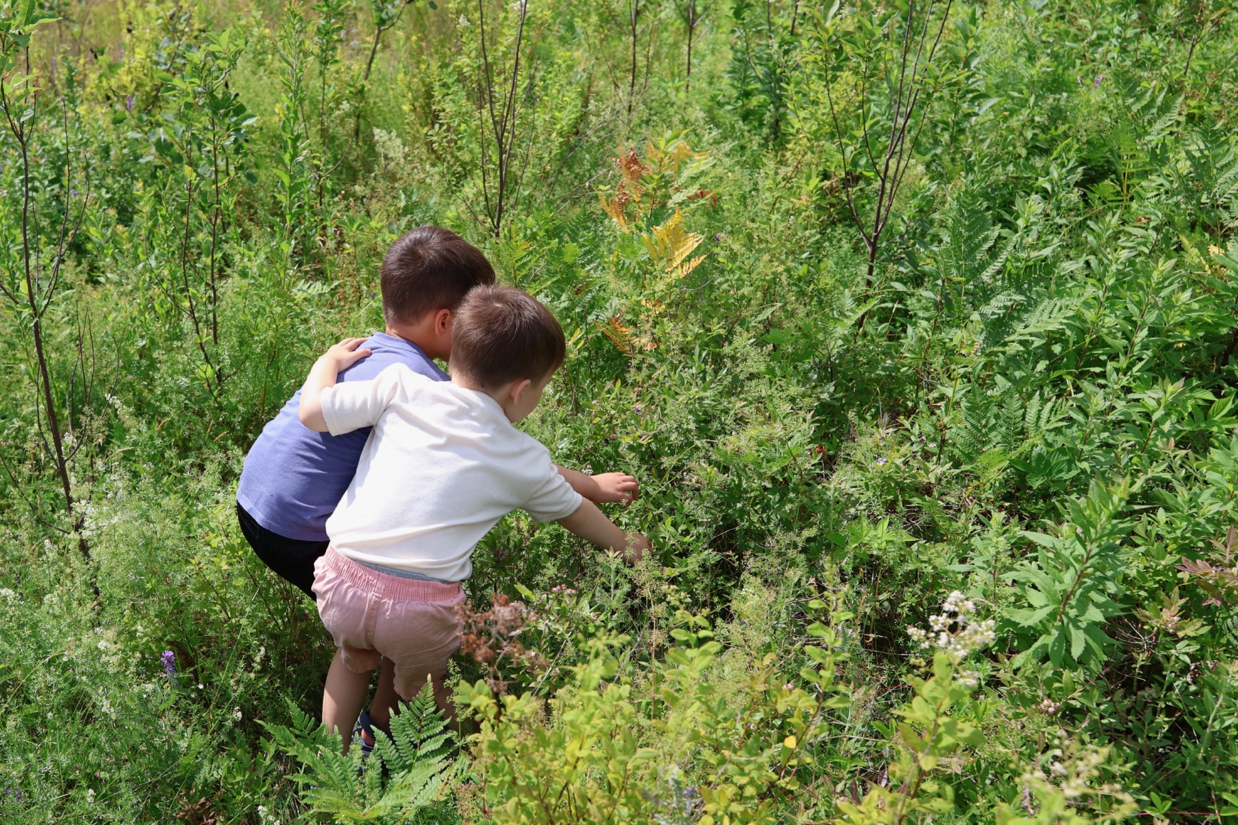 Berry Picking Team!
